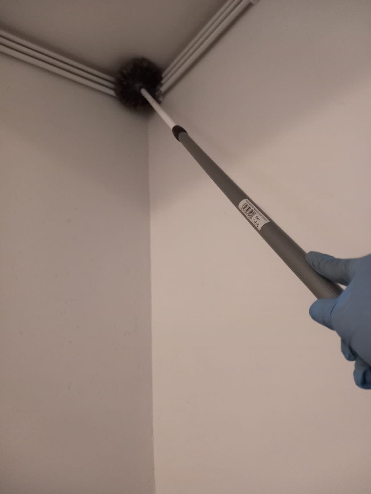 Brosse télescopique passée dans un angle de plafond, main gantée de bleu